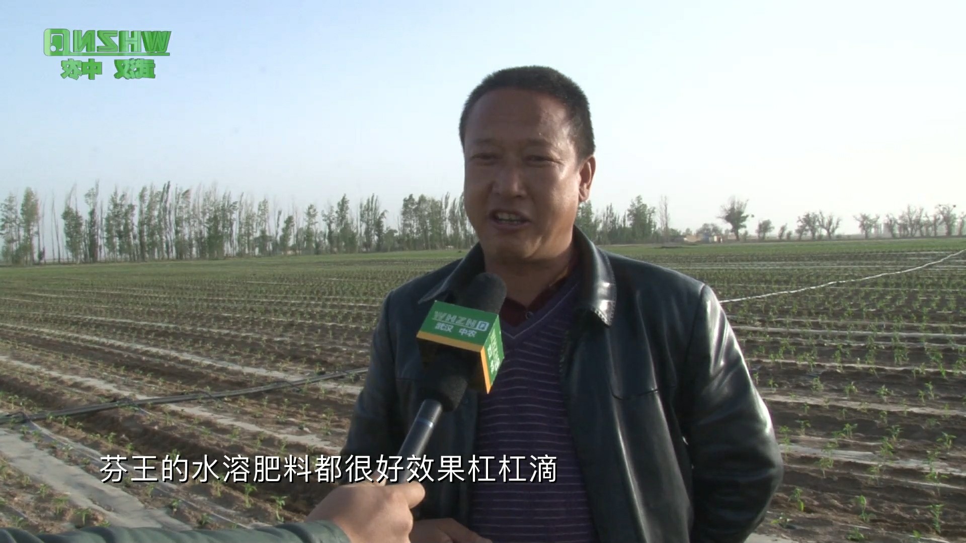 武威农户采访